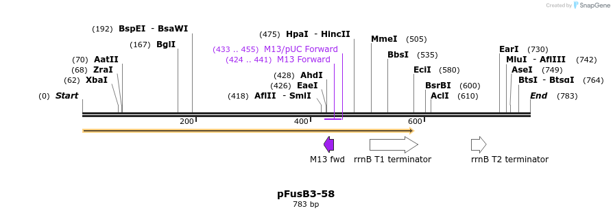 116294_map