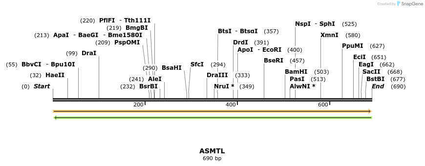 11630_map