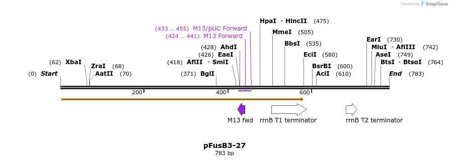 116303_map