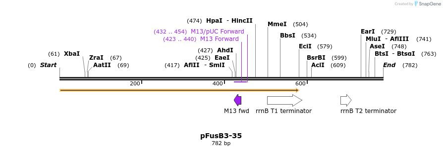 116306_map