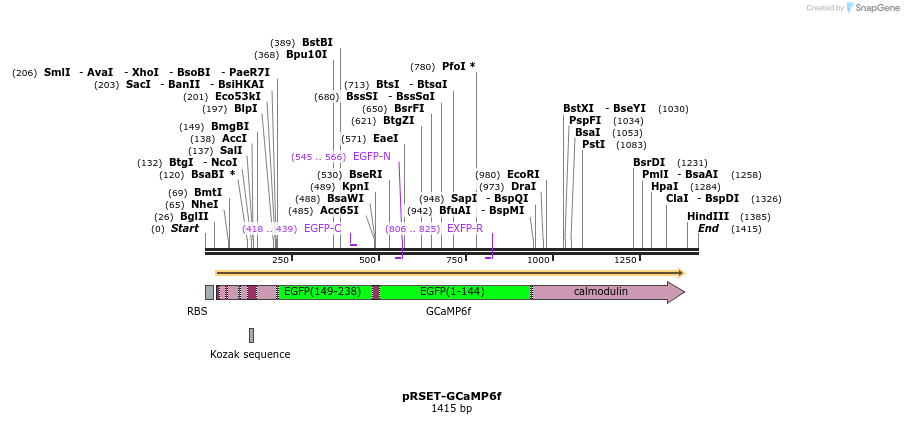 116312_map