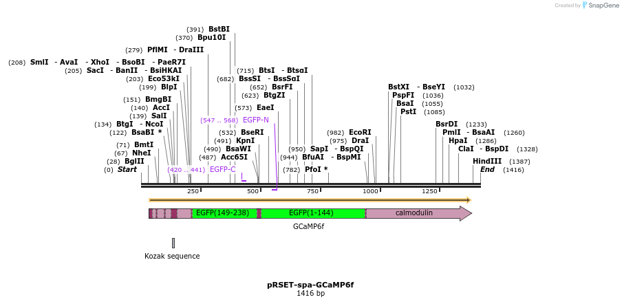 116314_map