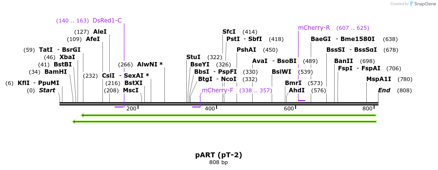116317_map