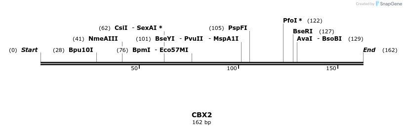 11632_map