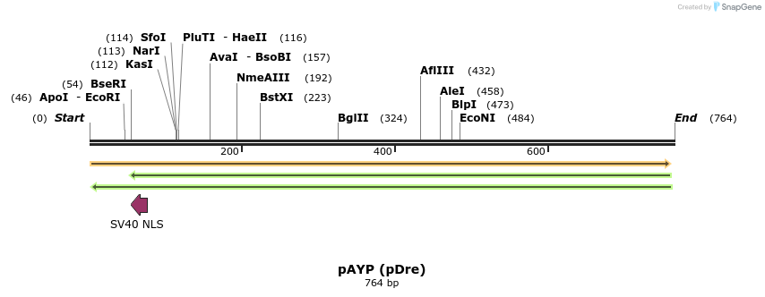 116321_map