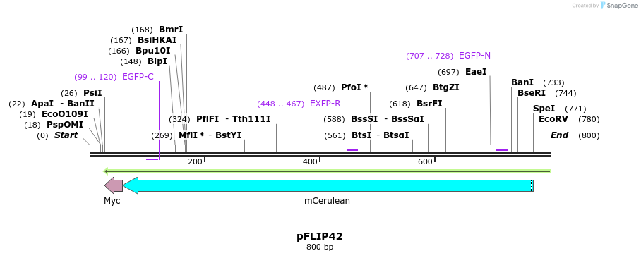 116333_map