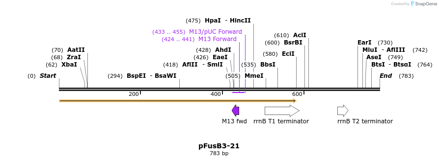 116337_map