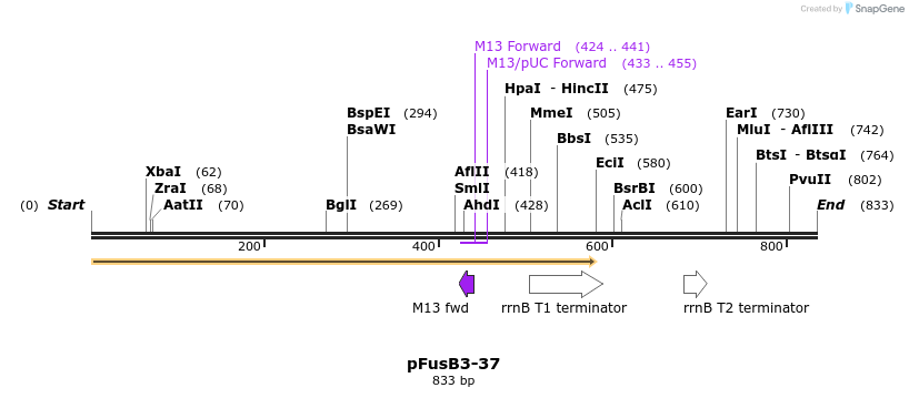 116340_map