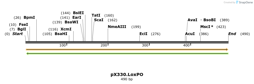 116342_map