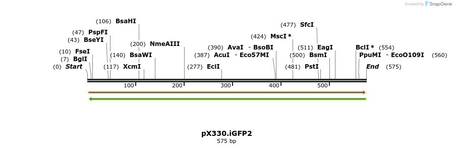 116349_map