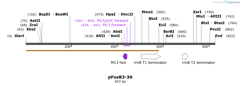 116354_map
