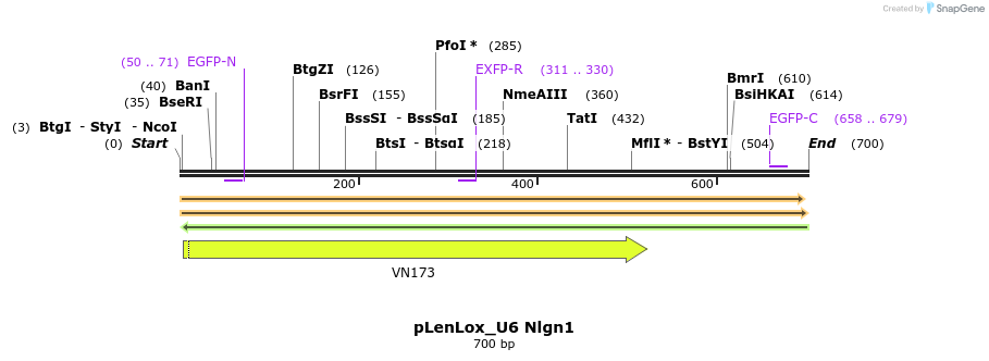 116357_map