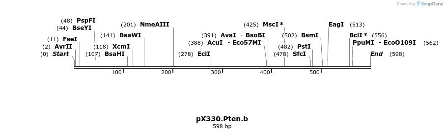 116358_map