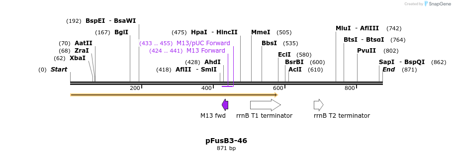 116359_map