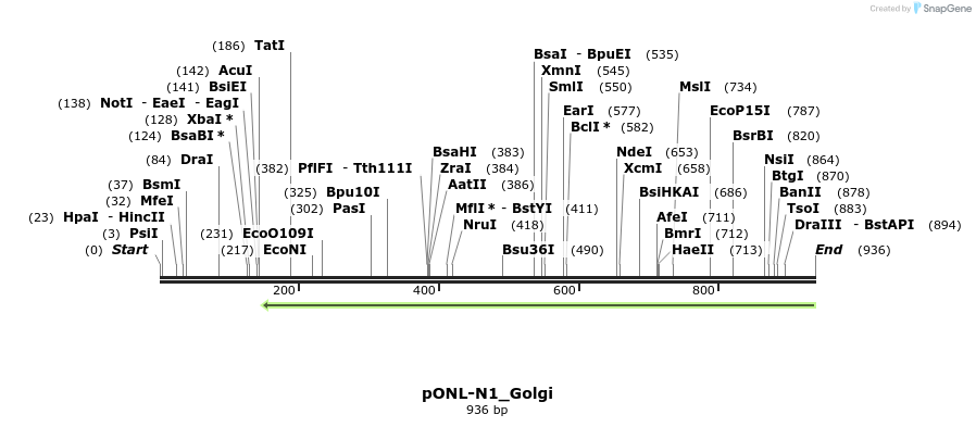 116360_map
