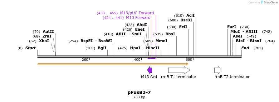 116369_map