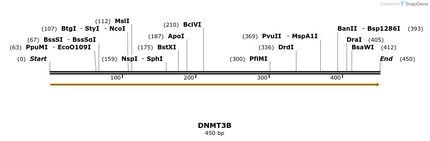 11637_map