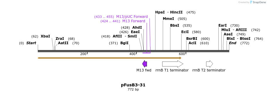 116373_map