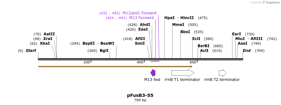 116375_map