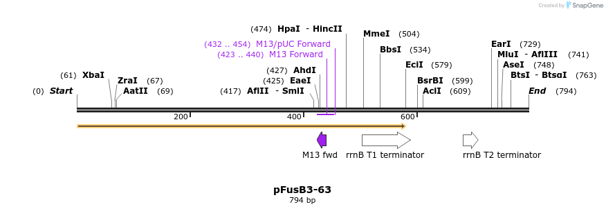 116376_map