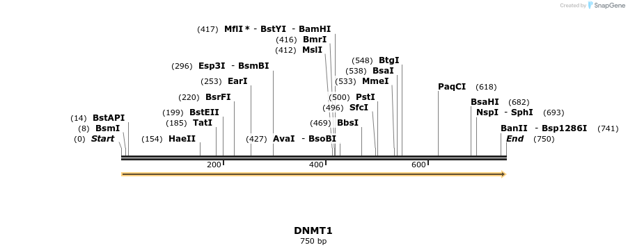 11639_map