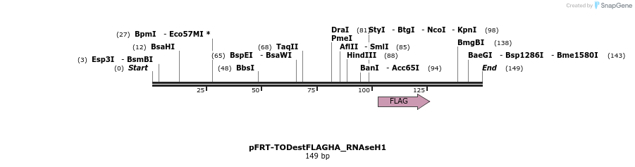 116397_map