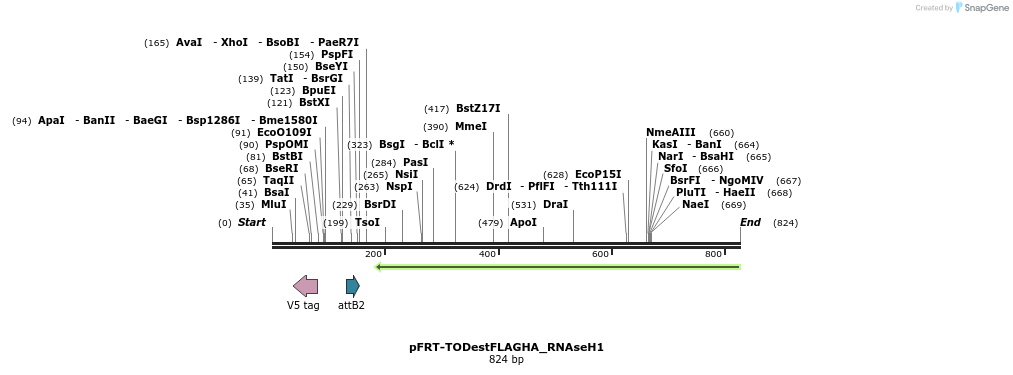 116398_map
