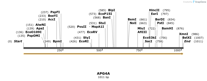 11640_map
