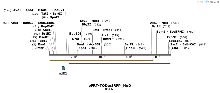 116404_map