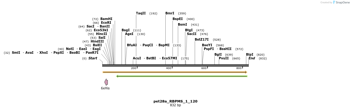 116417_map