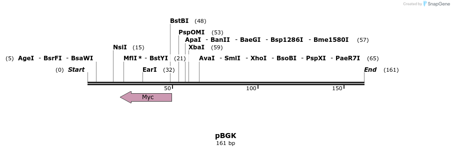 116422_map