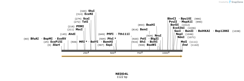 11643_map