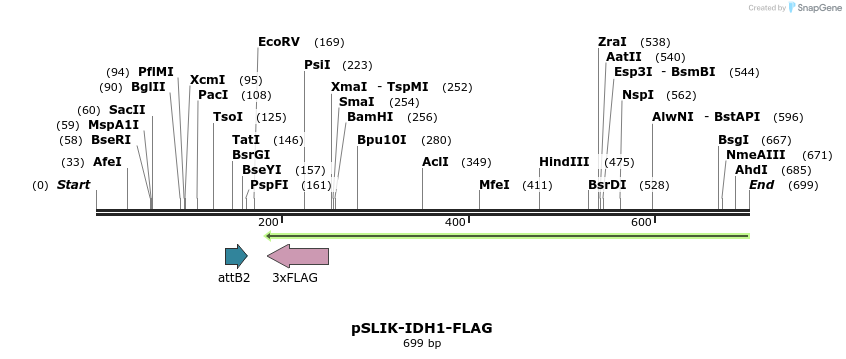 116431_map