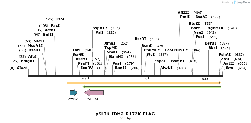 116432_map