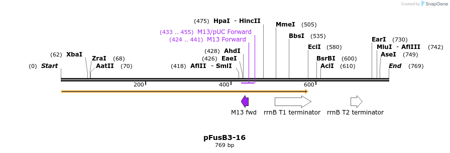 116444_map