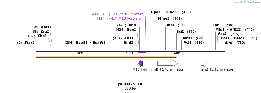 116445_map