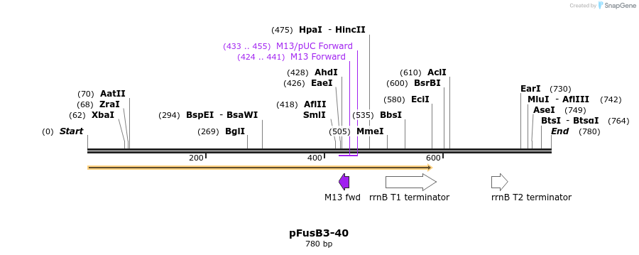 116447_map