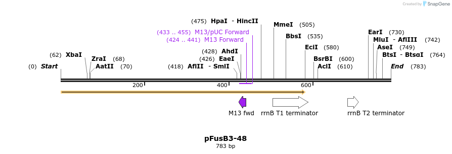 116448_map