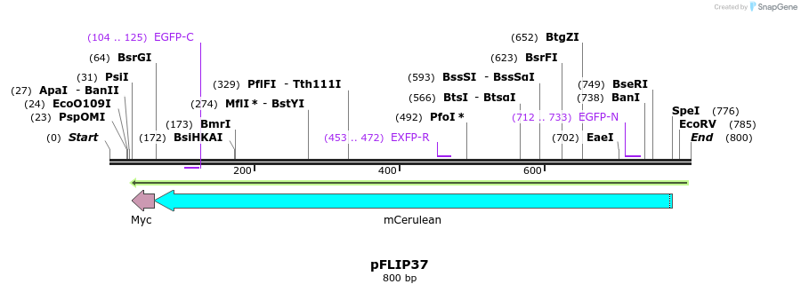 116452_map