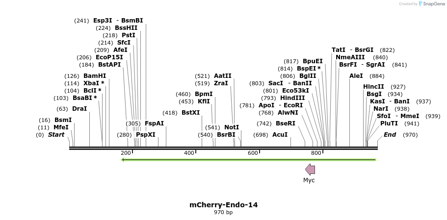 116454_map
