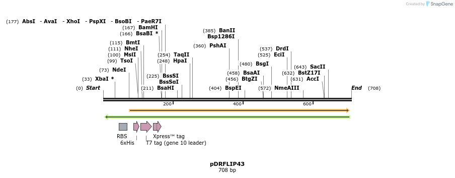 116455_map