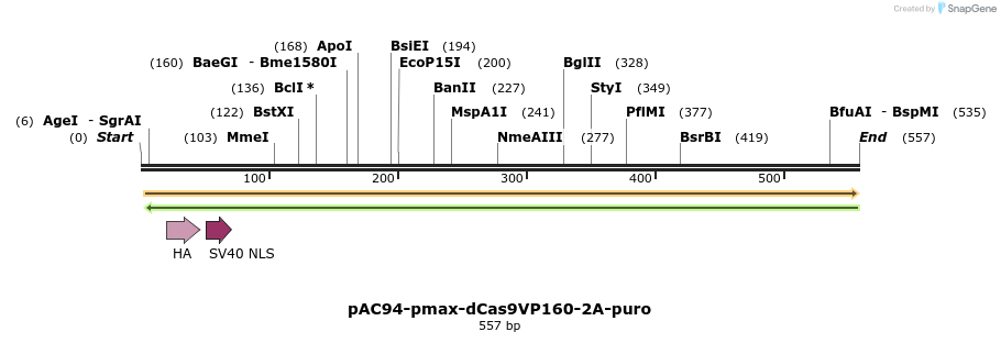 116457_map