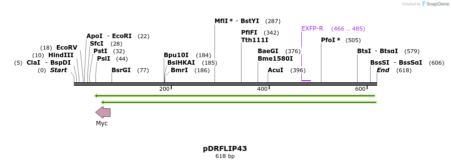 116458_map