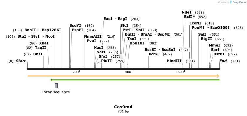 116459_map