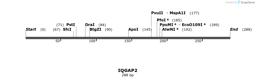 11646_map