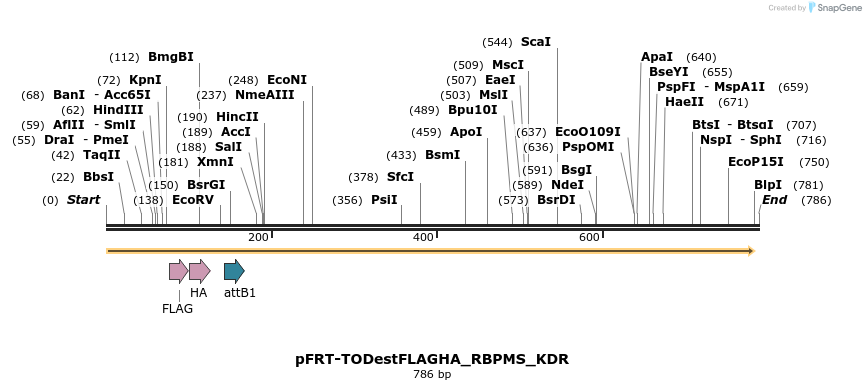 116464_map