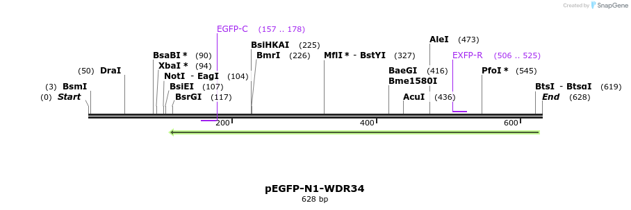 116465_map