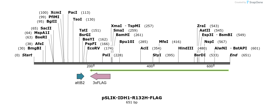 116466_map