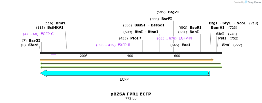 116469_map