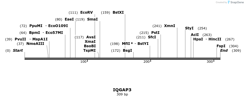 11647_map